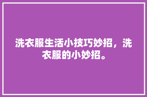 洗衣服生活小技巧妙招，洗衣服的小妙招。