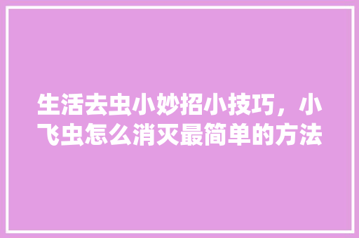 生活去虫小妙招小技巧，小飞虫怎么消灭最简单的方法。