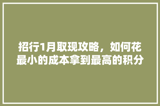 招行1月取现攻略，如何花最小的成本拿到最高的积分「1月国内旅游攻略大全」 招行1月取现攻略，如何花最小的成本拿到最高的积分「1月国内旅游攻略大全」 美食食谱