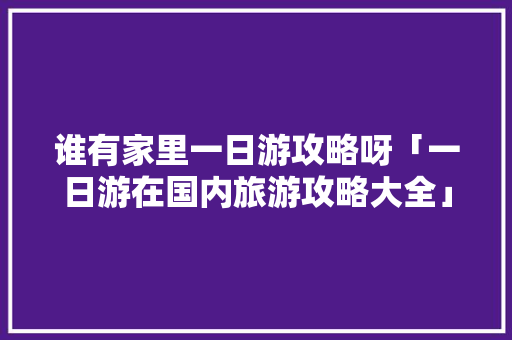 谁有家里一日游攻略呀「一日游在国内旅游攻略大全」