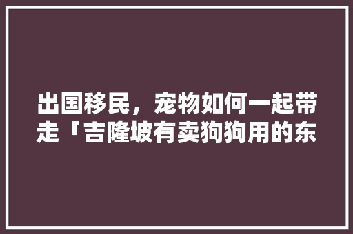 出国移民，宠物如何一起带走「吉隆坡有卖狗狗用的东西吗」