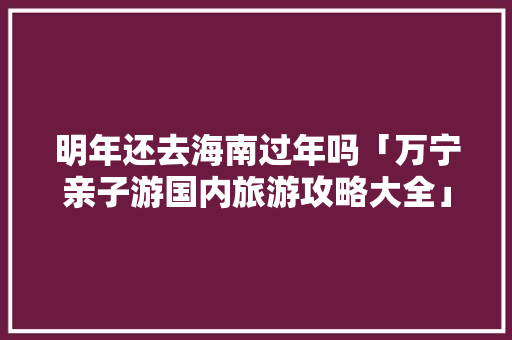 明年还去海南过年吗「万宁亲子游国内旅游攻略大全」
