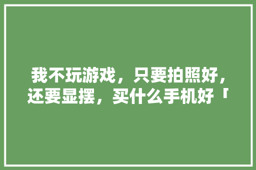 我不玩游戏，只要拍照好，还要显摆，买什么手机好「国内旅拍圣地」