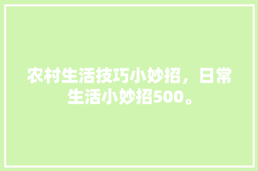 农村生活技巧小妙招，日常生活小妙招500。