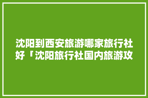 沈阳到西安旅游哪家旅行社好「沈阳旅行社国内旅游攻略大全」