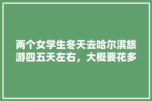 两个女学生冬天去哈尔滨旅游四五天左右，大概要花多少钱「国内旅游攻略学生双人游玩」