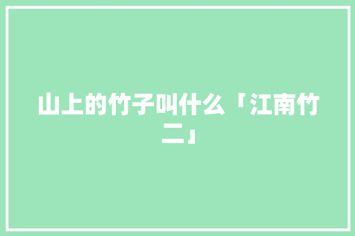 山上的竹子叫什么「江南竹二」 山上的竹子叫什么「江南竹二」 家庭生活