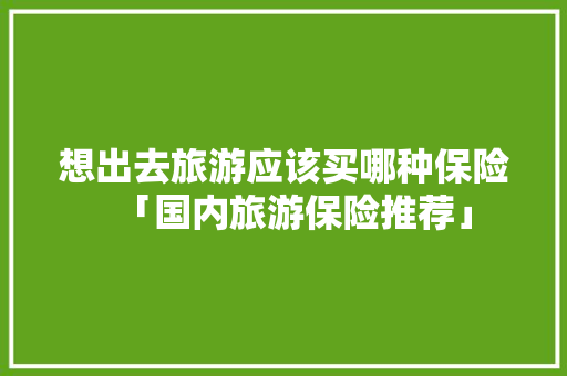 想出去旅游应该买哪种保险「国内旅游保险推荐」