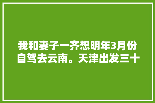 我和妻子一齐想明年3月份自驾去云南。天津出发三十天左右，具体线路和值得去哪儿「云南5天攻略国内旅游线路」 我和妻子一齐想明年3月份自驾去云南。天津出发三十天左右，具体线路和值得去哪儿「云南5天攻略国内旅游线路」 家庭生活