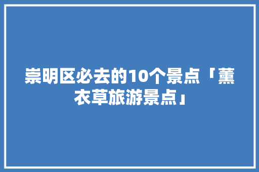 崇明区必去的10个景点「薰衣草旅游景点」