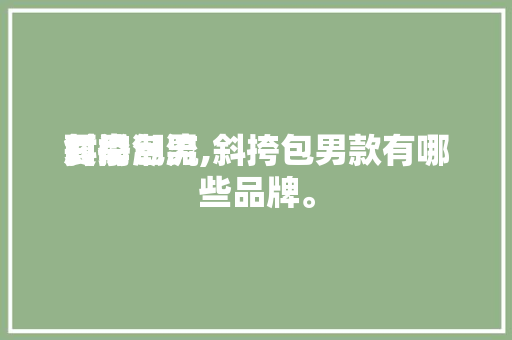 夏季时尚潮流斜挎包男,斜挎包男款有哪些品牌。 夏季时尚潮流斜挎包男,斜挎包男款有哪些品牌。 时尚潮流