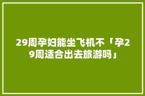 29周孕妇能坐飞机不「孕29周适合出去旅游吗」