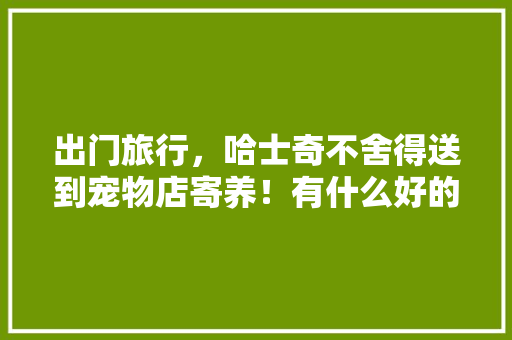 出门旅行，哈士奇不舍得送到宠物店寄养！有什么好的办法没有「国内带狗自驾游推荐」 出门旅行，哈士奇不舍得送到宠物店寄养！有什么好的办法没有「国内带狗自驾游推荐」 生活技巧
