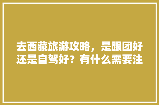 去西藏旅游攻略，是跟团好还是自驾好？有什么需要注意的「国内旅游团旅游攻略图片」 去西藏旅游攻略，是跟团好还是自驾好？有什么需要注意的「国内旅游团旅游攻略图片」 旅游指南