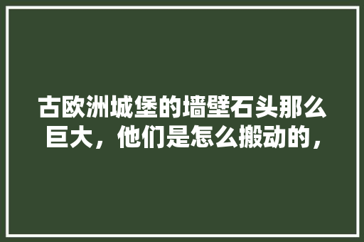 古欧洲城堡的墙壁石头那么巨大，他们是怎么搬动的，是用什么工具搬运「国内旅游欧洲城堡攻略图片」