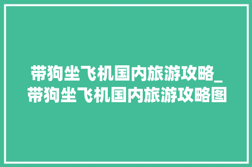 带狗坐飞机国内旅游攻略_带狗坐飞机国内旅游攻略图 带狗坐飞机国内旅游攻略_带狗坐飞机国内旅游攻略图 时尚潮流