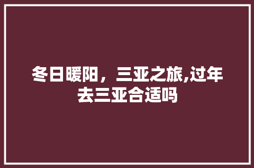 冬日暖阳，三亚之旅,过年去三亚合适吗 时尚潮流