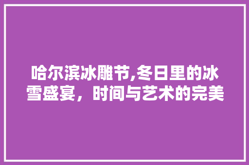 哈尔滨冰雕节,冬日里的冰雪盛宴，时间与艺术的完美融合 家庭生活