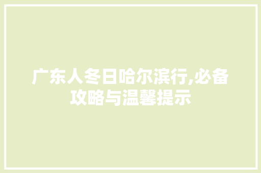 广东人冬日哈尔滨行,必备攻略与温馨提示
