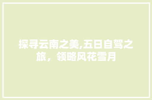 探寻云南之美,五日自驾之旅，领略风花雪月 家庭生活