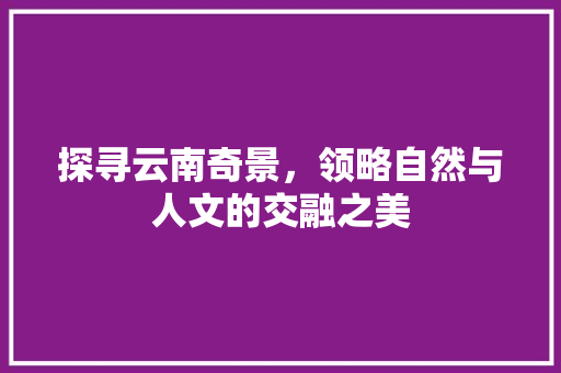 探寻云南奇景，领略自然与人文的交融之美 家庭生活