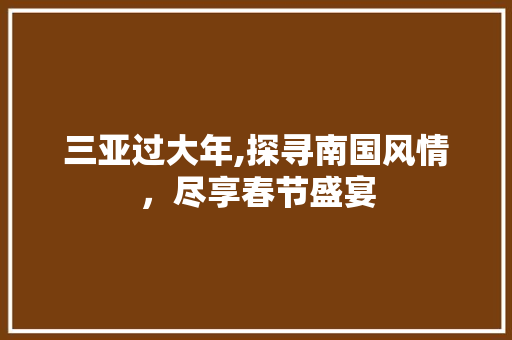 三亚过大年,探寻南国风情，尽享春节盛宴 时尚潮流