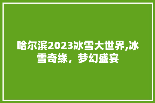 哈尔滨2023冰雪大世界,冰雪奇缘，梦幻盛宴 生活技巧