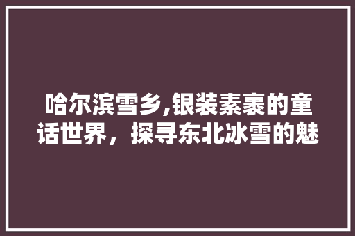 哈尔滨雪乡,银装素裹的童话世界，探寻东北冰雪的魅力 家庭生活