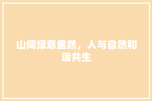 山间绿意盎然，人与自然和谐共生 旅游指南