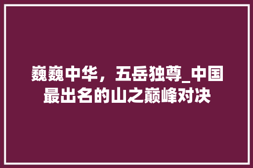 巍巍中华，五岳独尊_中国最出名的山之巅峰对决 美食食谱