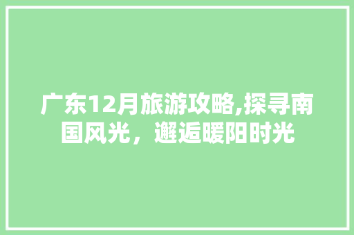 广东12月旅游攻略,探寻南国风光，邂逅暖阳时光 旅游指南