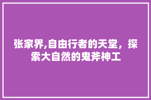 张家界,自由行者的天堂，探索大自然的鬼斧神工 旅游指南