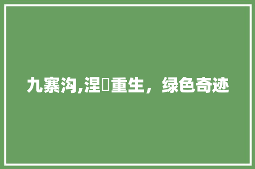 九寨沟,涅槃重生，绿色奇迹 生活技巧