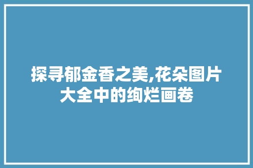 探寻郁金香之美,花朵图片大全中的绚烂画卷 旅游指南