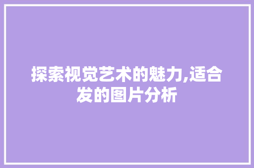 探索视觉艺术的魅力,适合发的图片分析