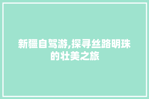 新疆自驾游,探寻丝路明珠的壮美之旅