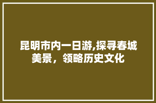 昆明市内一日游,探寻春城美景，领略历史文化