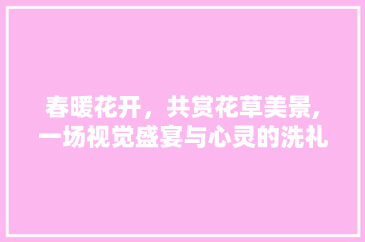 春暖花开，共赏花草美景,一场视觉盛宴与心灵的洗礼