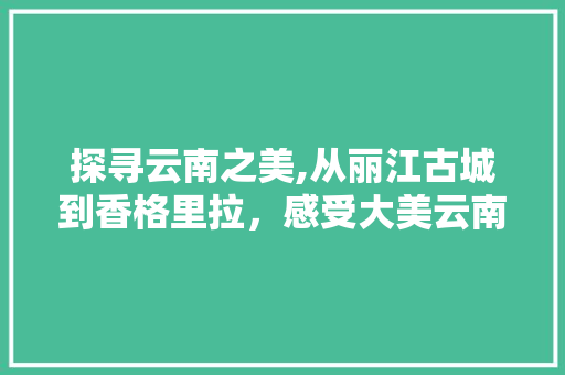 探寻云南之美,从丽江古城到香格里拉，感受大美云南的独特魅力 生活技巧