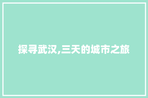 探寻武汉,三天的城市之旅 旅游指南