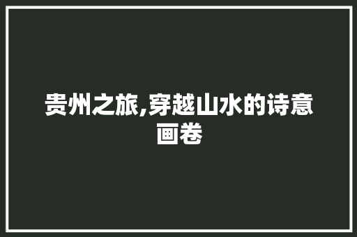贵州之旅,穿越山水的诗意画卷 家庭生活