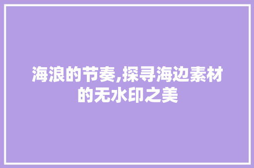 海浪的节奏,探寻海边素材的无水印之美 时尚潮流