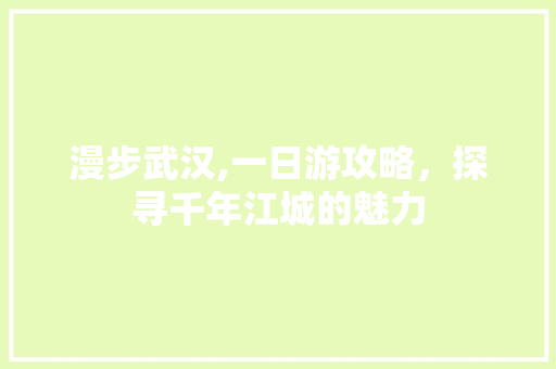 漫步武汉,一日游攻略，探寻千年江城的魅力 生活技巧
