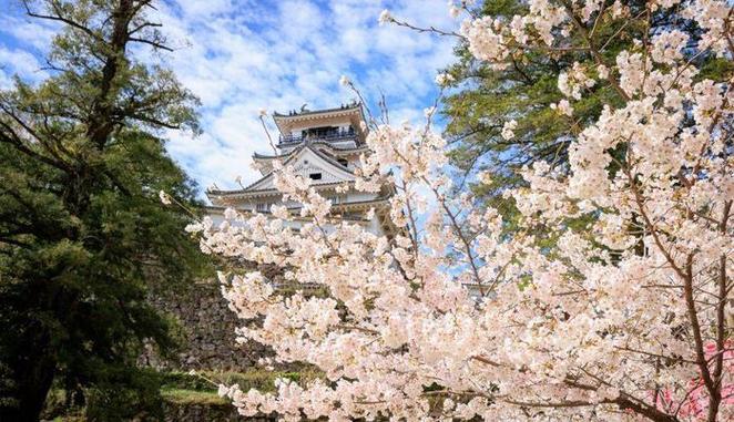 适合旅游的地方有哪些推荐？有攻略吗
「国内旅游景点攻略推荐一下」