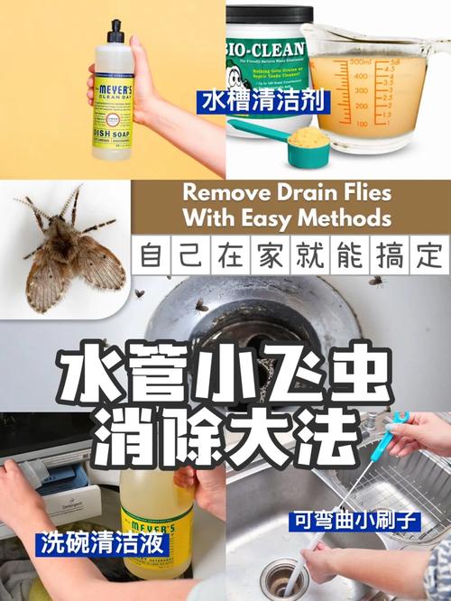 生活去虫小妙招小技巧，小飞虫怎么消灭最简单的方法。 生活去虫小妙招小技巧，小飞虫怎么消灭最简单的方法。 生活技巧