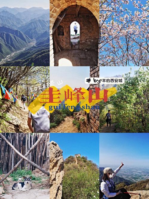 秦岭春天自驾游最佳路线「牙齿很多烂了怎么办」 生活技巧 秦岭春天自驾游最佳路线「牙齿很多烂了怎么办」 秦岭春天自驾游最佳路线「牙齿很多烂了怎么办」 生活技巧