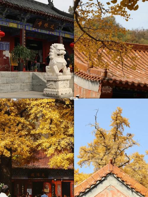 平顶山四棵树景区「国内旅游免费景点攻略大全」 平顶山四棵树景区「国内旅游免费景点攻略大全」 家庭生活