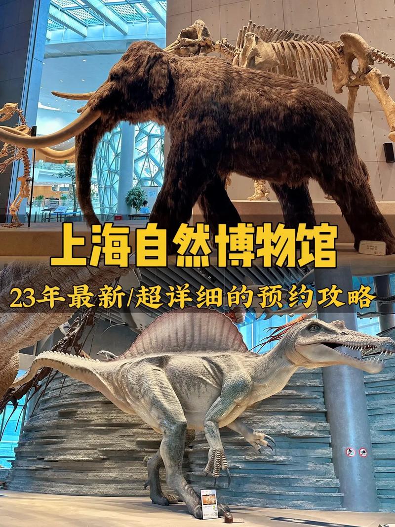 上海自然博物馆一天游玩攻略「国内旅游大自然攻略大全」 时尚潮流 上海自然博物馆一天游玩攻略「国内旅游大自然攻略大全」 上海自然博物馆一天游玩攻略「国内旅游大自然攻略大全」 时尚潮流