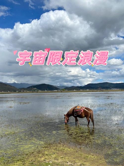 我和妻子一齐想明年3月份自驾去云南。天津出发三十天左右,具体线路和值得去哪儿「云南5天攻略国内旅游线路」 家庭生活 我和妻子一齐想明年3月份自驾去云南。天津出发三十天左右,具体线路和值得去哪儿「云南5天攻略国内旅游线路」 我和妻子一齐想明年3月份自驾去云南。天津出发三十天左右,具体线路和值得去哪儿「云南5天攻略国内旅游线路」 家庭生活