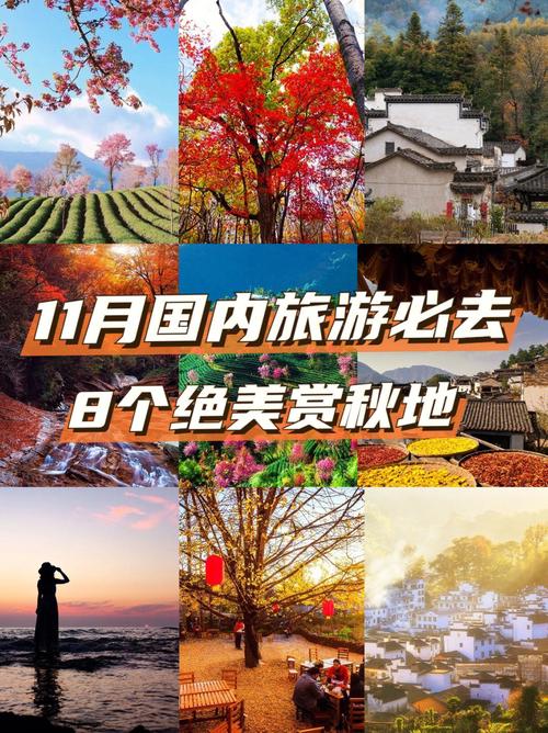 11月国内什么地方最合适游玩「11月份国内旅游攻略」 11月国内什么地方最合适游玩「11月份国内旅游攻略」 时尚潮流